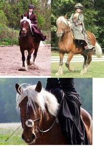 Cheval de trait et équitation en amazone