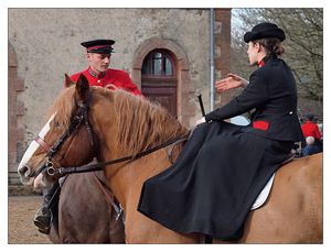 Cheval de trait et équitation en amazone