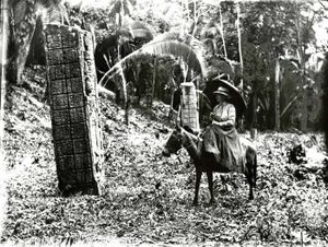 amazones, exploratrices... et mules