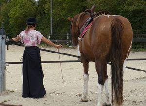 Quel tissus pour une jupe d'amazone?