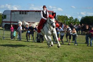 Cheval de trait et équitation en amazone