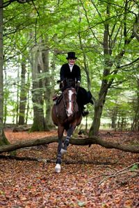 Equitation en amazone cross et sauts d'obstacles naturels