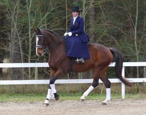 Tenue d'amazone : tablier anglais