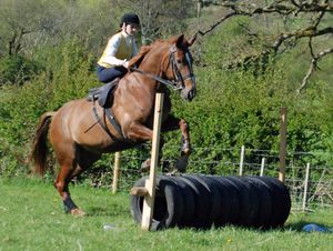 Equitation en amazone cross et sauts d'obstacles naturels