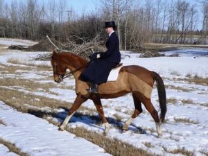 des amazones dans la neige
