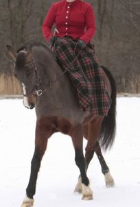 des amazones dans la neige