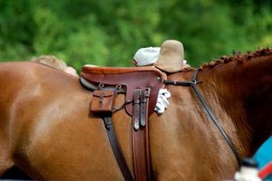 gants et selle d'amazone