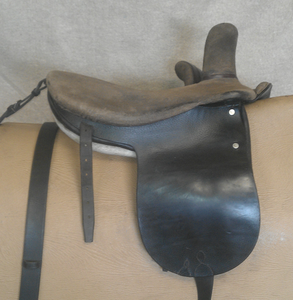 croupière et selle d'amazone