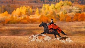 Des amazones aux couleurs de l'automne