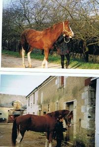 20 ans après...