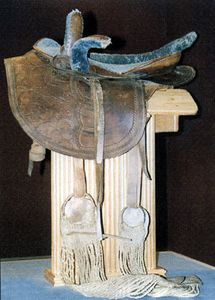 selles d'amazones américaines