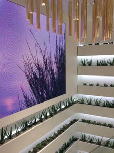 Visite guidée Yves Rocher (1/2) : un nouveau concept store très ... végétal Boulevard Haussmann