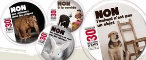 Le refuge ASF participe à la campagne contre les abandons de 30 millions d'amis