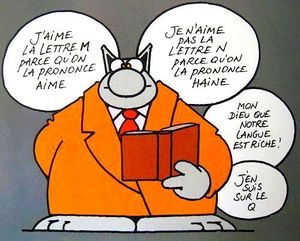 Délicieuse et surprenante langue française
