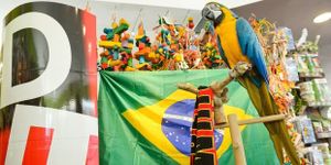 Diabolito a pronostiqué Angleterre - Italie