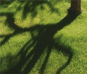 Misterbricolo entretient sa pelouse au printemps ...