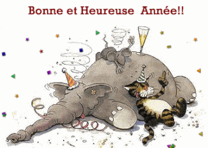 Misterbricolo vous souhaite une très très belle année 2016 !