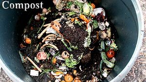 Misterbricolo hésite entre un bon terreau et du compost ...