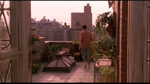Green card (Peter Weir, 1990)