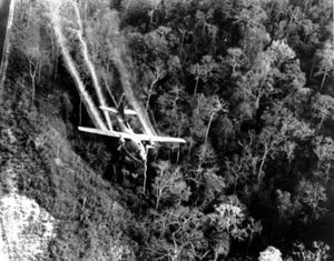 La guerre du Vietnam n’est pas finie : les séquelles de l’Agent Orange