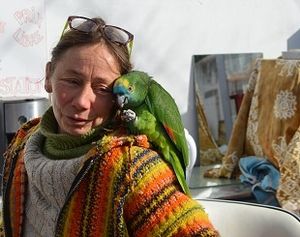 Drôle d'oiseau ce sympatique visiteur