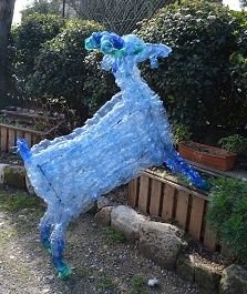 Pet à cornes