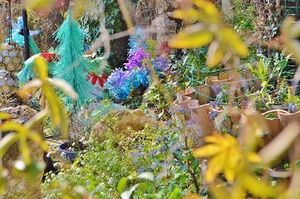 Le coin jardin de TERRA