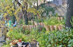 Le coin jardin de TERRA