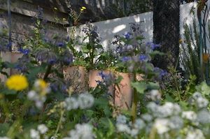 Le coin jardin de TERRA