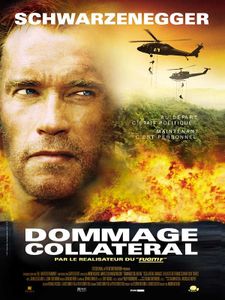 Dommage collatéral (Andrew Davis)