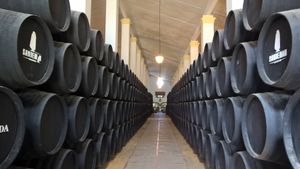 LES ERIBISTES A JEREZ DE LA FRONTERA