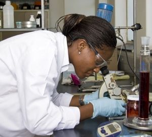 SciDev.net - Des femmes chercheures pour ‘stimuler la production alimentaire’