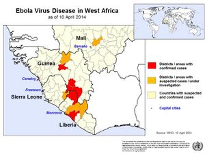 BBC - WHO: 'Drastic action' needed on Ebola
