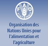 Reuters - Ebola threatens food security in West Africa: FAO
