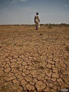 BBC - African soil crisis threatens food security, says study