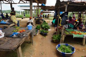 FAO - Ebola laisse des centaines de milliers de personnes confrontées à la faim dans les trois pays les plus touchés