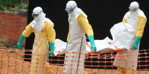 SciDev.Net - Ébola: Les raisons de la persistance de l’épidémie en Guinée