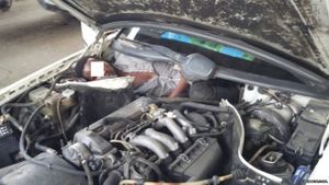 BBC - Spain finds Guinea migrant hidden behind car engine