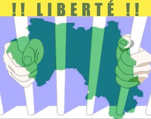 Guinée - Constitution: Ils disent que la constitution guinéenne est bien