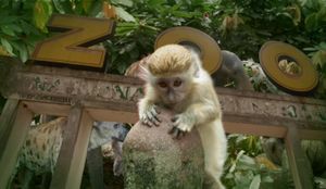 Abidjan/Spectre de virus d’Ebola- Le Zoo d’Abidjan sous le poids des dons d’animaux!
