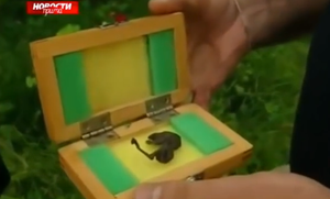 CADAVRE ALIEN EN RUSSIE OU SINGE