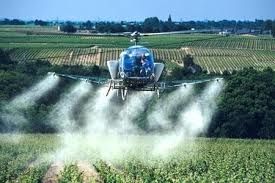 Quand la technologie aide à la protection de l'environnement