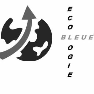 Réaction d'Ecologie bleue aux attentats du 13 novembre 2015