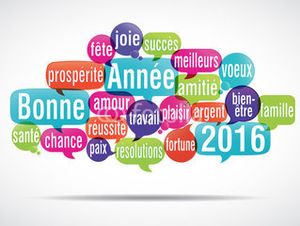 Bonne Année 2016 !