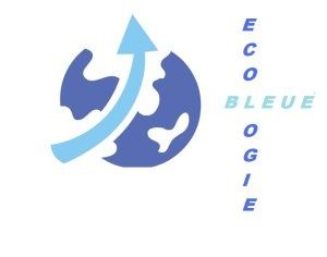Quelles perspectives pour Ecologie bleue en 2016 ?