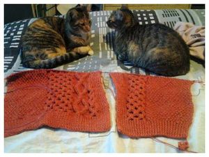 Gilet Adeline (suite)