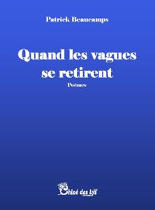 Patrick Beaucamps nous propose un poème extrait de son nouveau recueil "Quand les vagues se retirent"
