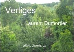 Reflet, une poésie de Laurent Dumortier dans le Soliflore n°35