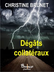 Marie-Noëlle Fargier a lu Dégâts collatéraux de Christine Brunet
