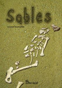 Jean-François Foulon a lu "Sables" de Laurent Dumortier
